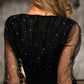 Glitter Sheer Mesh V Neck Long Sleeve Party Dress