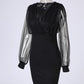 Glitter Sheer Mesh V Neck Long Sleeve Party Dress