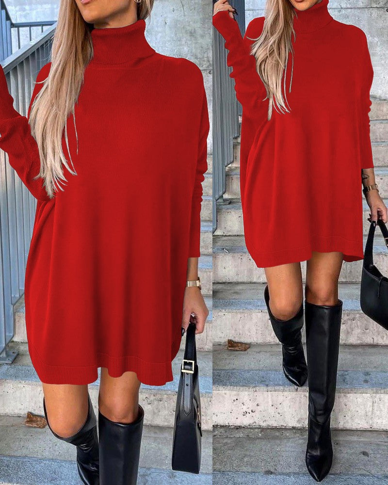 High Neck Long Sleeve Knit Sweater Dress