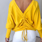 V Neck Gigot Sleeve Back Drawstring Top