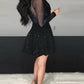 Glitter Sheer Mesh See Through Contrast Lace Long Sleeve Mini Dress Deep V Neck A Line Dresses