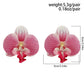 Bonbon Elegant Phalaenopsis Simulated Flower Earrings