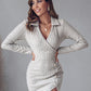 Polo V Neck Long Sleeve Fleece Lined Bodycon Dress Slit Button Decor Ribbed Mini Dress