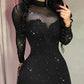 Glitter Long Sleeve Mock Neck Sheer Mesh Patch Bodycon Dress Night Out Party Mini Dress