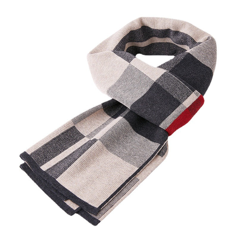 Scarf for Men Reversible Elegant Classic Cashmere Feel Scarves for Spring Fall Winter D004